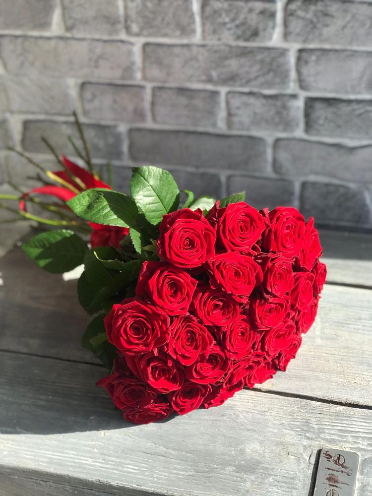 Букет Красные розы Фридом в Бредах