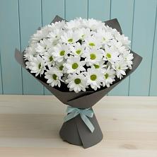 Букет цветов из:  Хризантемы в Бредах