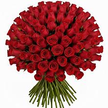 Букет Красные розы Чери Лав в Бредах