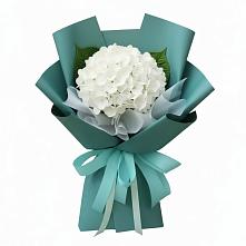 Букет цветов из:  Гортензия #REPLACE_PRED# Бредах